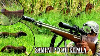 Download lagu PASOPATI JANGAN LAKUKAN LAGI,, TETAPKAN SAMPAI PENUH PENYAKIT mp3