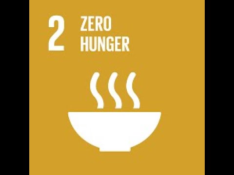 可持續發展目標 2:零飢餓 (Sustainable Development Goal (SDG) 2: Zero Hunger)