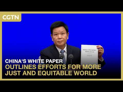China's white paper outlines efforts for more just and equitable world