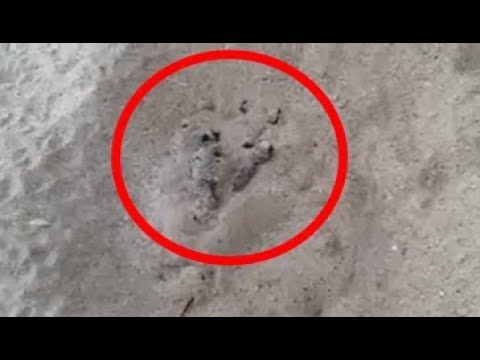 BIO JE TO OBIČAN DAN NA PLAŽI: Ali onda je ovo počelo izlaziti iz peska !