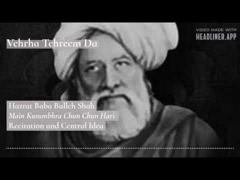 Baba Bulleh Shah: Main Kusumbhra Chun Chun Hari - Central Idea