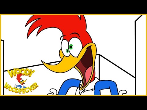 Woody Woodpecker 2018 | 103 The Pen Is Flightier Than The Sword | BRAND NEW Series | Kids Movies