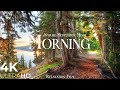 MORNING NATURE - RELAXATION FILM - PEACEFUL RELAXING MUSIC - 4K VIDEO  ..