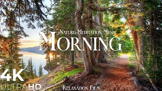 Nature Morning 4K | Meditation Relaxing Music | Peaceful Relaxing Music | 4K Relaxation Film