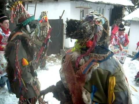 capra bahnaseni - jocul 2008