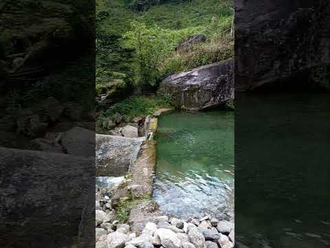 parchada en cocorná antioquia