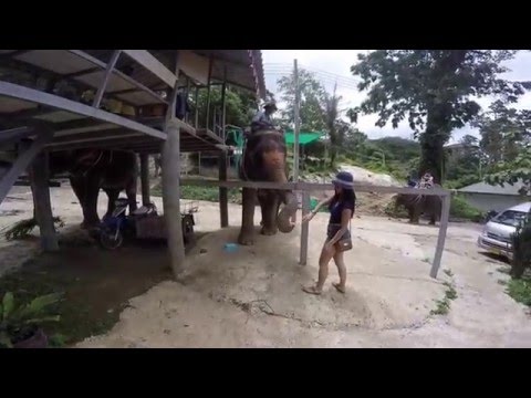 Jerel & Gracelyn Honeymoon 2015