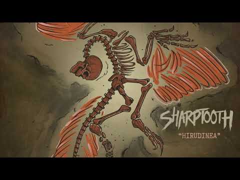 Video thumbnail for Hirudinea