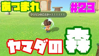 【生放送】あつまれヤマダの森！？ヤマダの無人島借金返済生活！【#23】