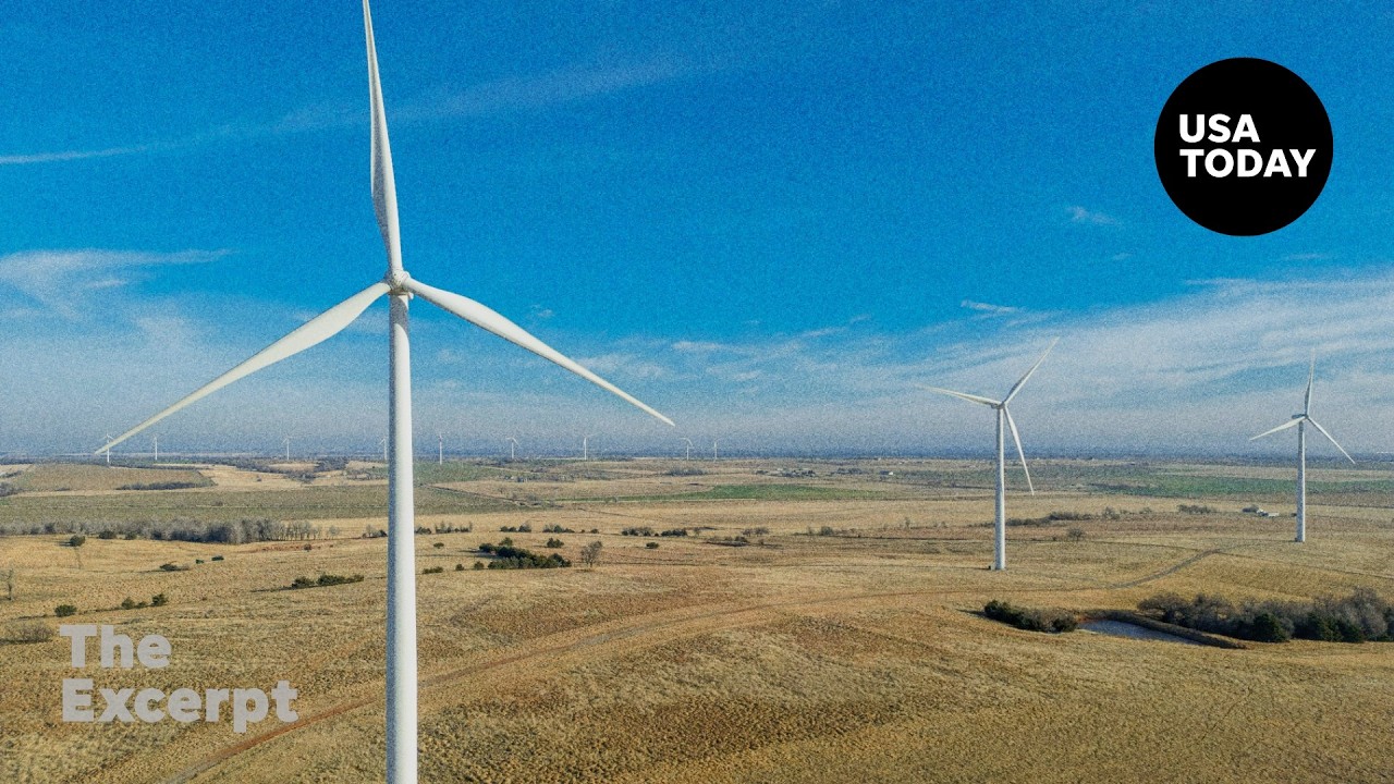 Future of wind and solar farms in Trump's America | The Excerpt