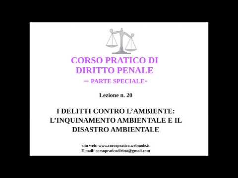 20  INQUINAMENTO AMBIENTALE E DISASTRO AMBIENTALE