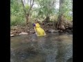 Rasave Unnai Kaanatha Vaithegi Song