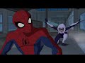 The Spectacular Spider Man Meets Black Cat