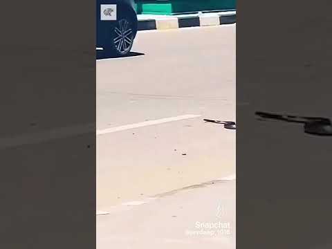 funny snack video 🤦‍♀️👌🏻 #shorts #funny #comedy #snack #snake