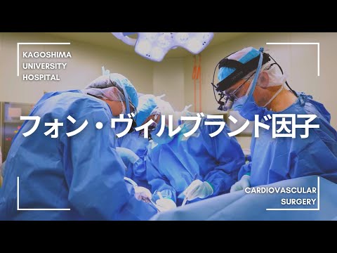 医学科 フォン・ヴィルブランド因子
