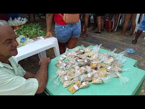 Feira da agricultura na cidade de cândido Mendes Maranhão comemoração dia do trabalho 