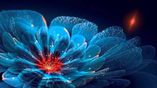 &quot;So in love&quot; - Carmen Cavallaro and His Orchestra -