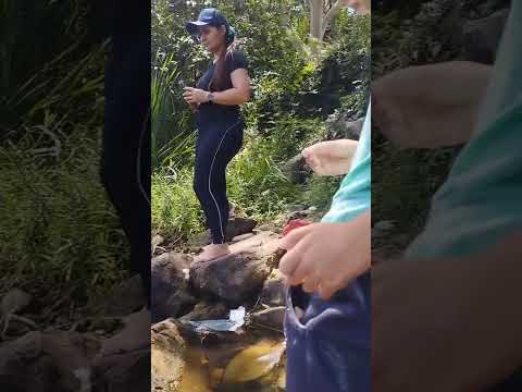 sangrador de janauba Minas gerais