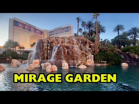 Mirage’s garden #miragegarden #mirage #miragehotel #garden #miragelasvegas