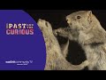 Past and Curious Season 7 - Tuesdays at 4:30pm