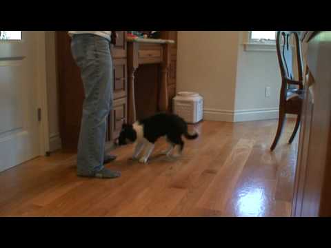 Kiri Close Drawer, first session