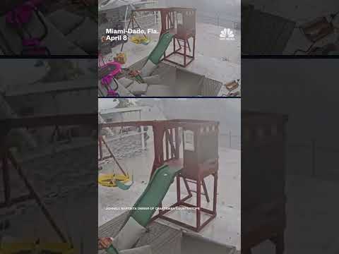 Tornado tears through Florida family's backyard