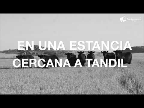 Breve historia de Ramón Santamarina, fundador de Santamarina e Hijos