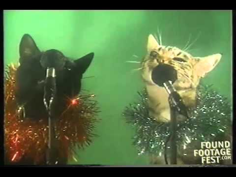 O Come All Ye Jingle Cats