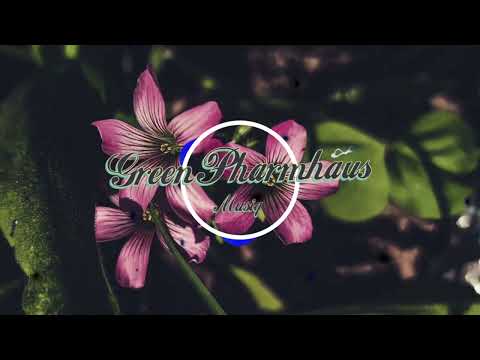 Anne Marie & Niall Horan - Our Song (Kownboii Remix) 2022