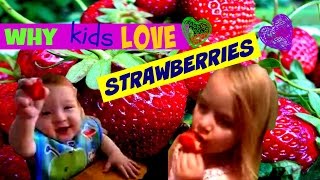 Kids Food Why Kids LOVE Strawberries! Healthy,YUM Summer Fruit. Kid friendly viewing