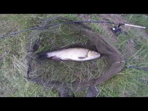 River Fishing Dove Chub