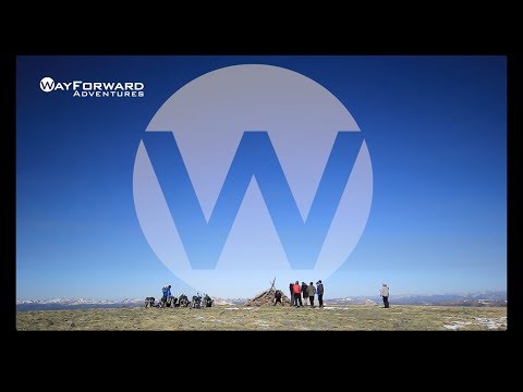 THE WAYFORWARD EXPERIENCE