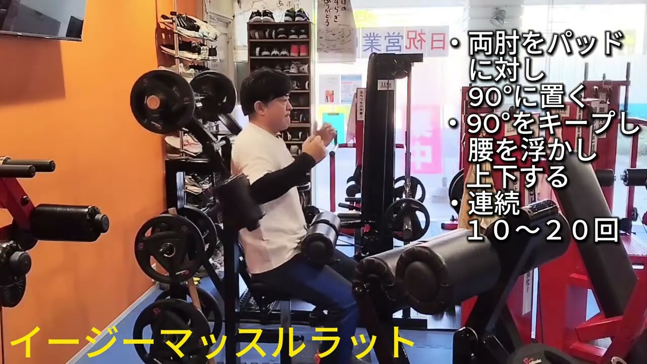 イージーマッスルラット