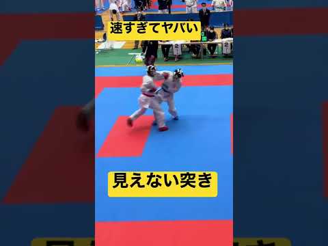 突きが速すぎて見えない