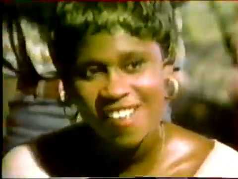 Les Djibos - Paradis