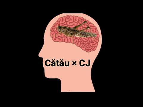 Cătău × CJ- CGREIER (Audio, REUPLOAD)