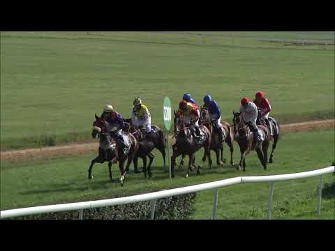 2020 dzień 7 gonitwa 2 -  Nagroda Toru Wyścigowego w Pardubicach