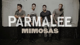 Parmalee - Mimosas (Story Behind the Song)