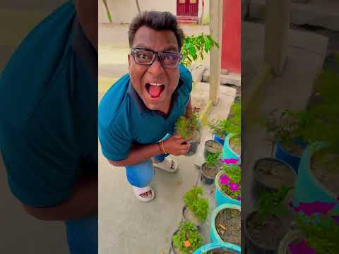 Meri chocolate 🍫 kisne khayi 😡 #family #funny #trending