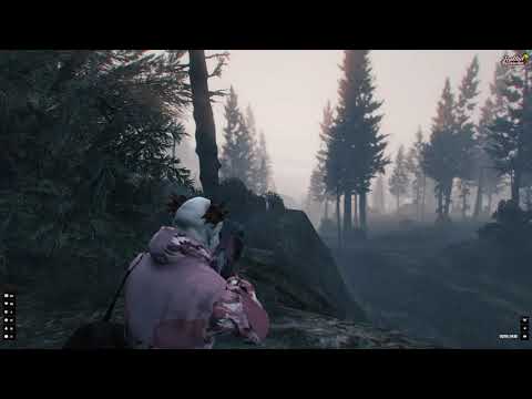 Highlights El Calvo - Lealtad RP #3