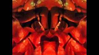 The Residents - Diskomo