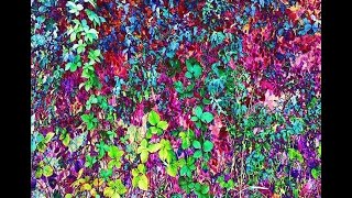 Henry - Metamorphosis psychosis [full album] (2011)