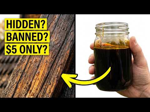 This $5 Tree Sap Preserves Wood for 800 Years - Why Did Big Paint Bury This Recipe?