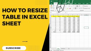 How To Resize Table In Excel Sheet