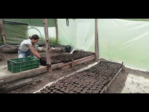 Cultivamos la Bioeconomia Colaborativa en Socotá, Boyacá, Colombia