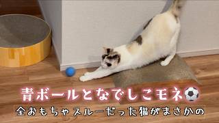 おもちゃ全スルーのおとなしい猫にボールあげたらまさかの結果に