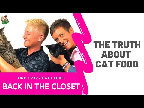 Pet Food Recalls | Two Crazy Cat Ladies