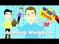 Wiggly Virals Episode 12 Anthony Weighs In WigglesWorld 2000 13 Minute Episode