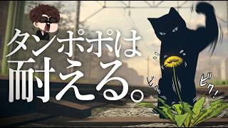 【単発配信】タンポポは耐える。ヒゲも耐える。