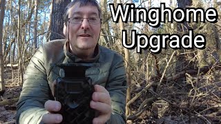 Winghome 631